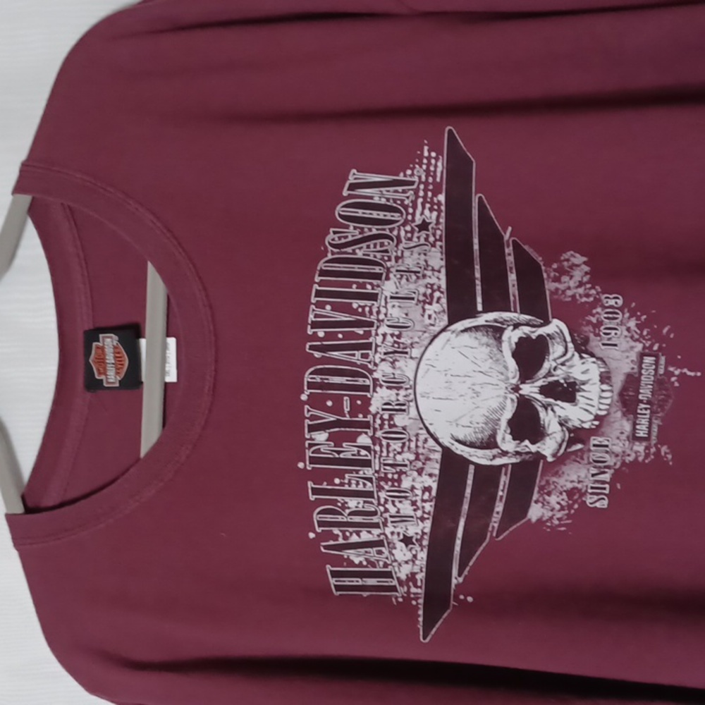 HARLEY DAVIDSON Men's Burgundy Skull Print Crew Neck T-shirts. Size 3X